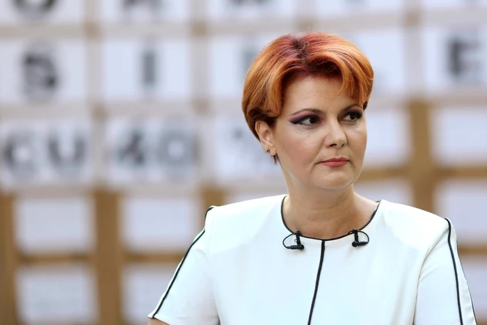 Reforma administrativă, sub semnul întrebării. Olguța Vasilescu atrage atenția asupra unor lacune în proiectul guvernamental